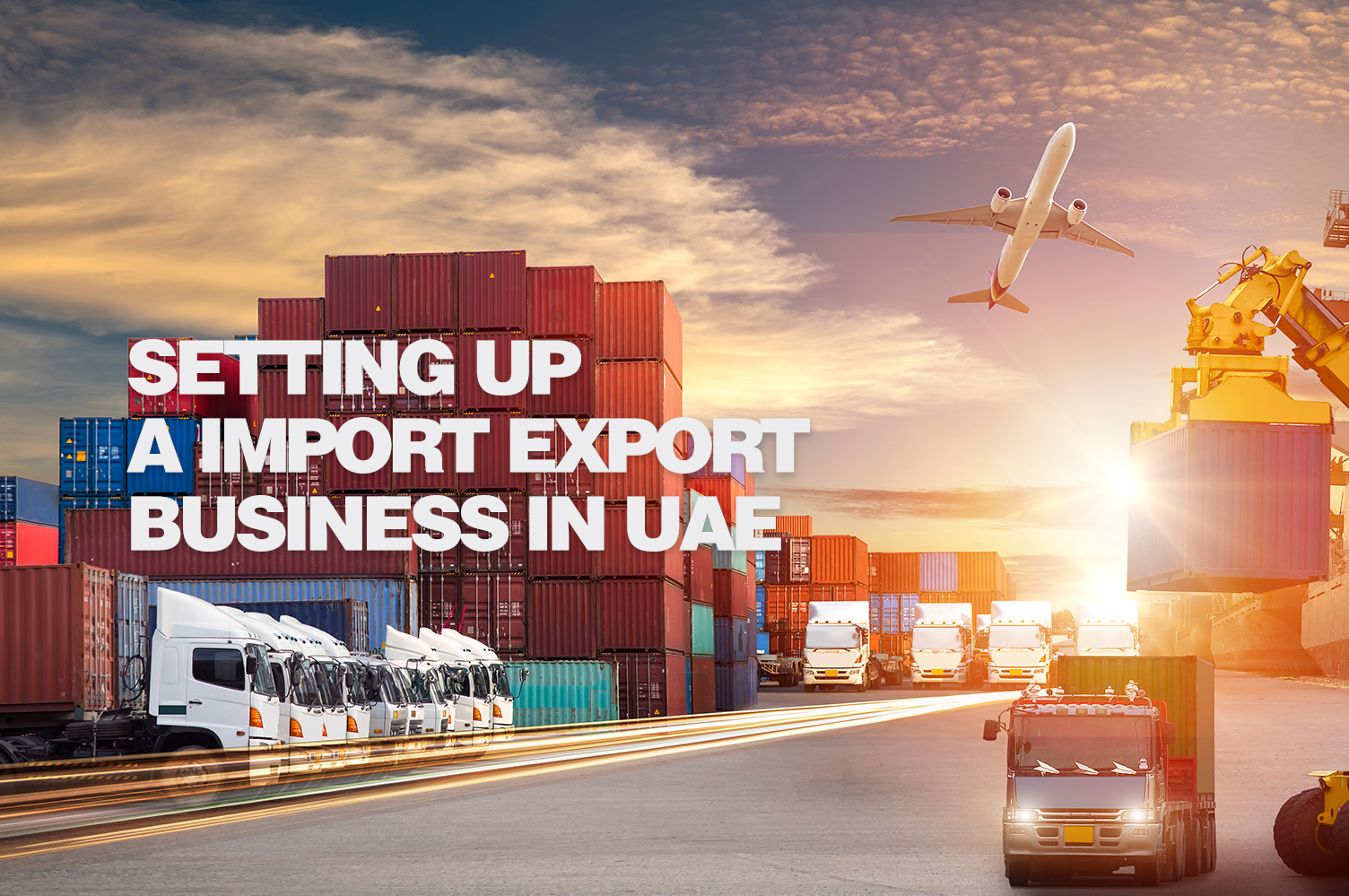 Start an Import and Export Business in Dubai